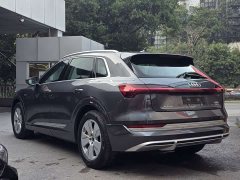 Audi e-tron 2021 50 quattro Luxury - ფოტო 7