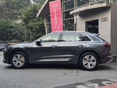 Audi e-tron 2021 50 quattro Luxury - ფოტო 8
