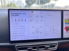 Li Auto L7 Max Smart Refresh Edition - ფოტო 12