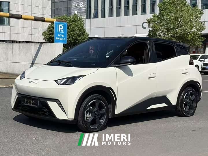 BYD Seagull 2023 Flying Edition - ავტომობილი ჩინეთიდან