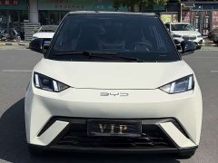 BYD Seagull 2023 Flying Edition - ფოტო 2