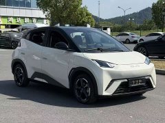 BYD Seagull 2023 Flying Edition - ფოტო 3