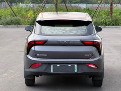 Neta V 2022 Trend 300 Lite Ternary Lithium - ფოტო 6