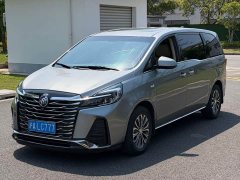 Buick GL8 2022 Land Executive Cabin 652T Smart Luxury - ფოტო 1