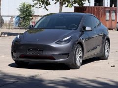 Tesla Model Y Rear-Wheel Drive - ფოტო 1