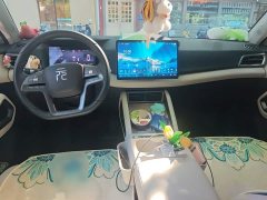 BYD Yuan UP Smart Drive 401KM Vitality Edition - ფოტო 10