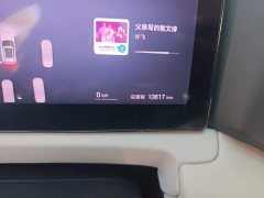 BYD Yuan UP Smart Drive 401KM Vitality Edition - ფოტო 13