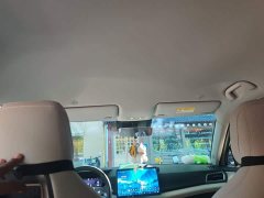 BYD Yuan UP Smart Drive 401KM Vitality Edition - ფოტო 19