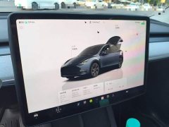 Tesla Model Y Rear-Wheel Drive - ფოტო 12