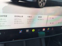 Tesla Model Y Rear-Wheel Drive - ფოტო 13