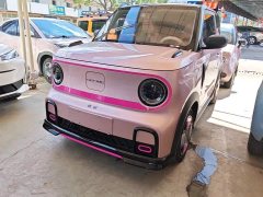 Geely Panda 200km Panda Kart - ფოტო 1