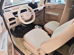 Geely Panda 200km Panda Kart - ფოტო 11