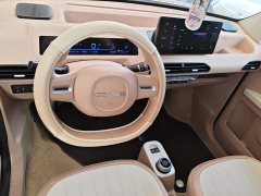 Geely Panda 200km Panda Kart - ფოტო 12