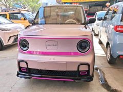 Geely Panda 200km Panda Kart - ფოტო 2