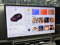 Li Auto L9 2022 Max - ფოტო 13
