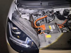 Wuling Binguo 203km Light Enjoy Edition - ფოტო 20
