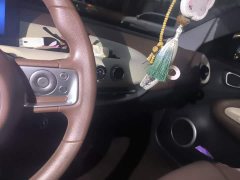 Wuling Binguo 203km Light Enjoy Edition - ფოტო 9