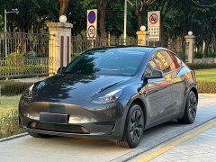 Tesla Model Y Rear-Wheel Drive - ფოტო 1