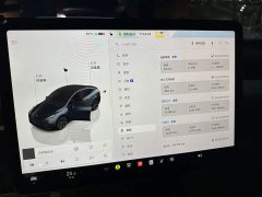 Tesla Model Y Rear-Wheel Drive - ფოტო 10