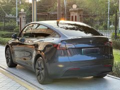 Tesla Model Y Rear-Wheel Drive - ფოტო 11