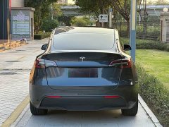 Tesla Model Y Rear-Wheel Drive - ფოტო 12