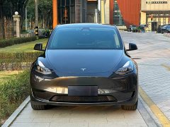 Tesla Model Y Rear-Wheel Drive - ფოტო 2