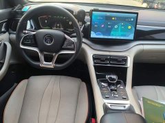 BYD Song Plus New Energy EV Premier - ფოტო 10