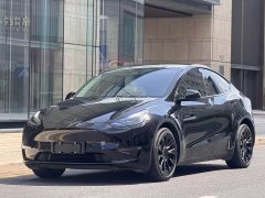 Tesla Model Y Long Range All-Wheel Drive 3D7 - ფოტო 1
