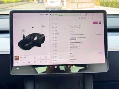 Tesla Model Y Long Range All-Wheel Drive 3D7 - ფოტო 10