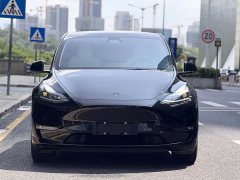 Tesla Model Y Long Range All-Wheel Drive 3D7 - ფოტო 2