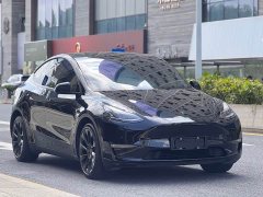 Tesla Model Y Long Range All-Wheel Drive 3D7 - ფოტო 4