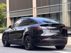 Tesla Model Y Long Range All-Wheel Drive 3D7 - ფოტო 5
