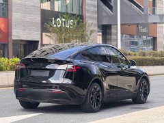 Tesla Model Y Long Range All-Wheel Drive 3D7 - ფოტო 6