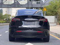 Tesla Model Y Long Range All-Wheel Drive 3D7 - ფოტო 7