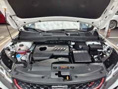 Geely Bingyue 2021 1.4T DCT Diamond Edition - ფოტო 18