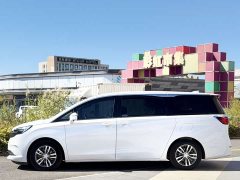 Buick GL8 ES Land Respect 653T Respect Enjoyment Edition - ფოტო 4