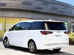 Buick GL8 ES Land Respect 653T Respect Enjoyment Edition - ფოტო 5