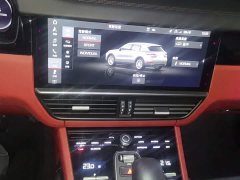 Porsche 2019 Cayenne 3.0T - ფოტო 14