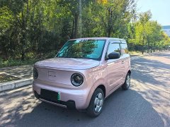 Geely Panda 2023 Panda Mini 200km Endurance Edition - ფოტო 1