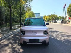 Geely Panda 2023 Panda Mini 200km Endurance Edition - ფოტო 2