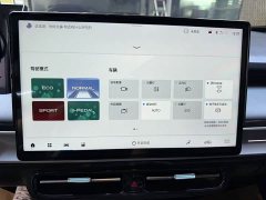 GAC AION Y 2022 Plus 70 Smart Leader Edition - ფოტო 16