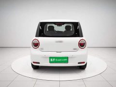 Changan Lumin 2023 205km Xiangqin Edition - ფოტო 5