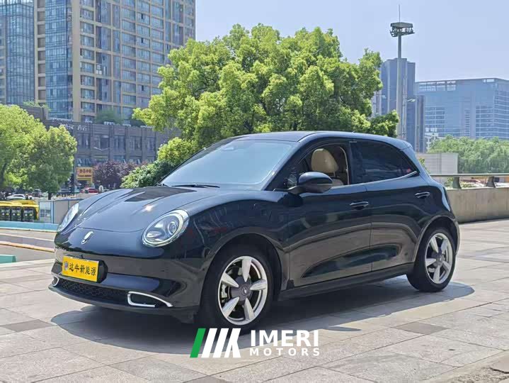 ORA Good Cat 400km Standard Range Athena Edition Ternary Lithium - ავტომობილი ჩინეთიდან