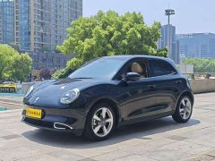 ORA Good Cat 400km Standard Range Athena Edition Ternary Lithium - ფოტო 1
