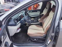 BYD Qin Plus DM-i 55KM Flagship - ფოტო 11
