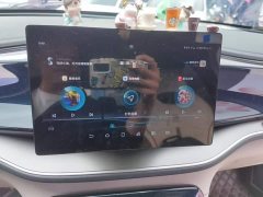 BYD Qin Plus DM-i 55KM Flagship - ფოტო 20