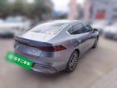 BYD Qin Plus DM-i 55KM Flagship - ფოტო 4