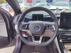 BYD Qin Plus DM-i 55KM Flagship - ფოტო 6