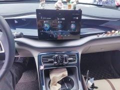 BYD Qin Plus DM-i 55KM Flagship - ფოტო 9