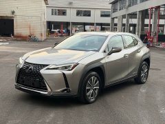 Lexus UX New Energy 2020 300e Pure Joy Edition - ფოტო 1